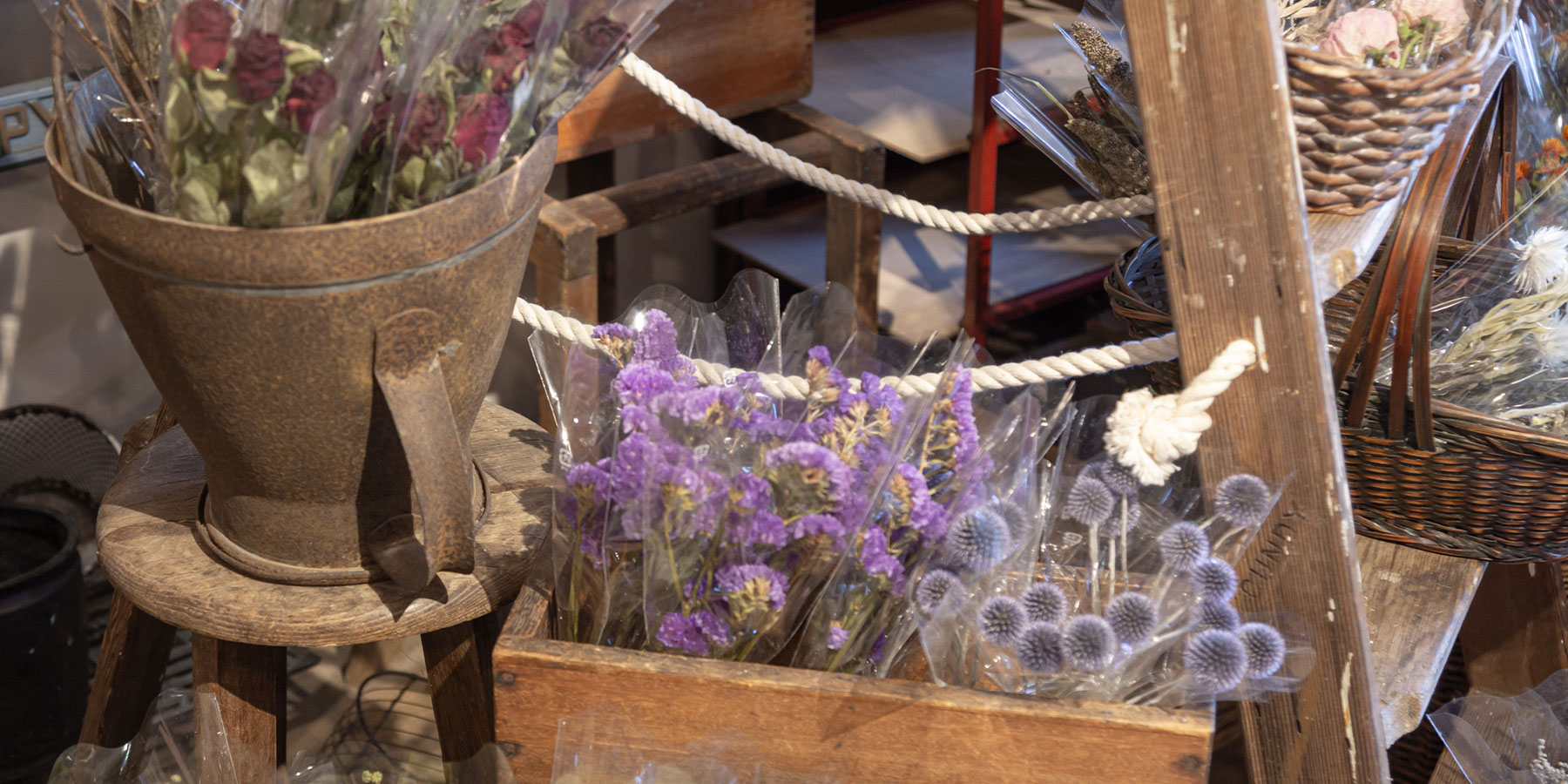 Dried Flower 古道具 Marca